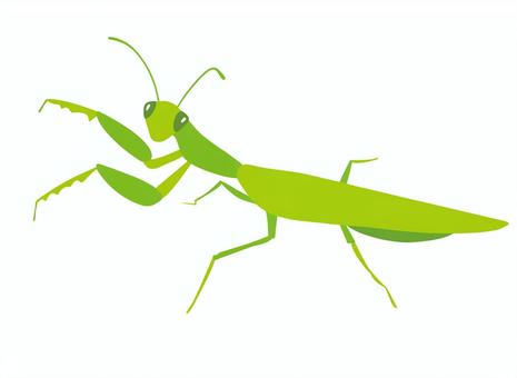 カマキリ